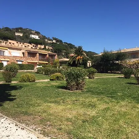 Cantarello